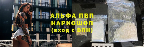 ГАЛЛЮЦИНОГЕННЫЕ ГРИБЫ Аркадак