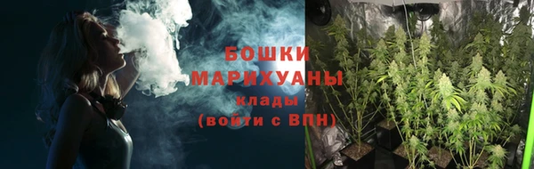 ГАЛЛЮЦИНОГЕННЫЕ ГРИБЫ Аркадак
