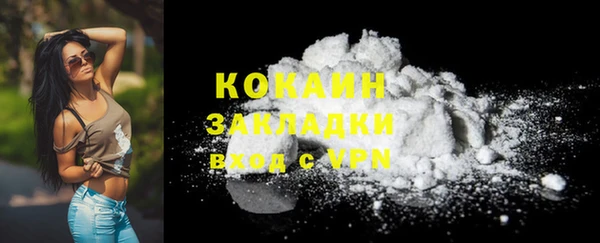 ГАЛЛЮЦИНОГЕННЫЕ ГРИБЫ Аркадак