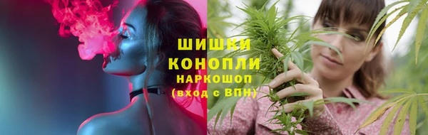 ГАЛЛЮЦИНОГЕННЫЕ ГРИБЫ Аркадак