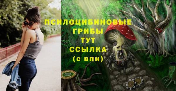 мет Арсеньев