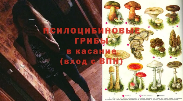 мет Арсеньев