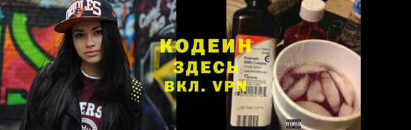 ГАЛЛЮЦИНОГЕННЫЕ ГРИБЫ Аркадак