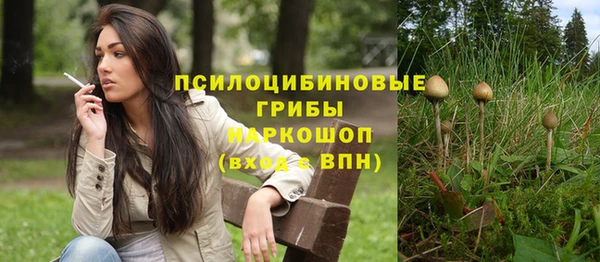мет Арсеньев